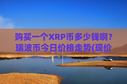购买一个XRP币多少钱啊？瑞波币今日价格走势(现价16.9691元)