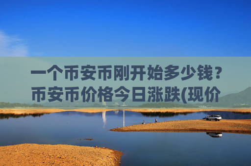 一个币安币刚开始多少钱？币安币价格今日涨跌(现价5067.41元)