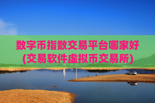数字币指数交易平台哪家好(交易软件虚拟币交易所)