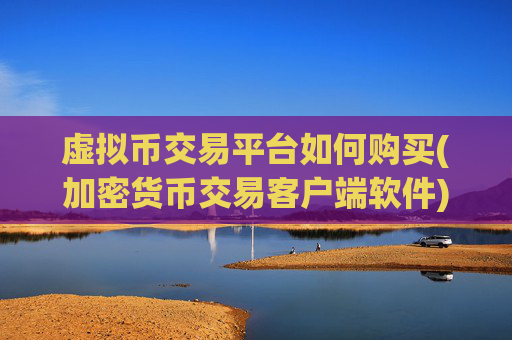 虚拟币交易平台如何购买(加密货币交易客户端软件)