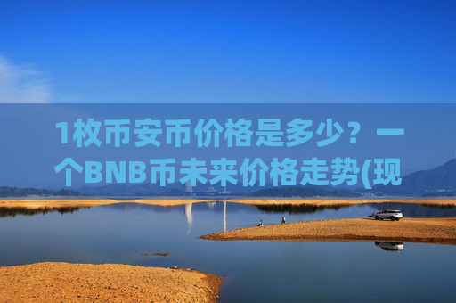 1枚币安币价格是多少？一个BNB币未来价格走势(现价5050.62元)