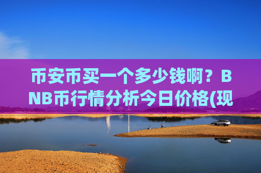 币安币买一个多少钱啊？BNB币行情分析今日价格(现价5036.65元)