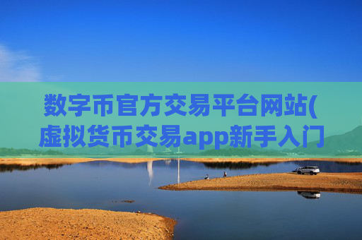 数字币官方交易平台网站(虚拟货币交易app新手入门)