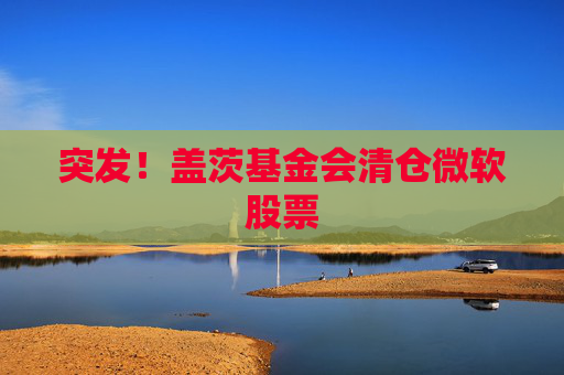 突发！盖茨基金会清仓微软股票