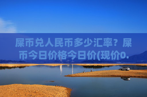屎币兑人民币多少汇率?屎币今日价格今日价(现价0.00016917元)