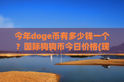 今年doge币有多少钱一个？国际狗狗币今日价格(现价2.5483元)