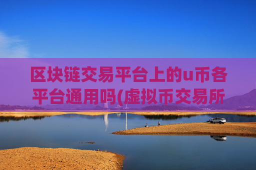 区块链交易平台上的u币各平台通用吗(虚拟币交易所app体验分享)