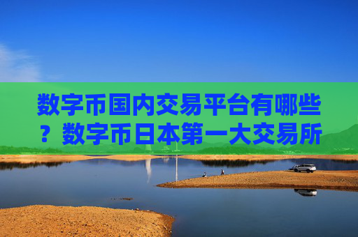 数字币国内交易平台有哪些？数字币日本第一大交易所