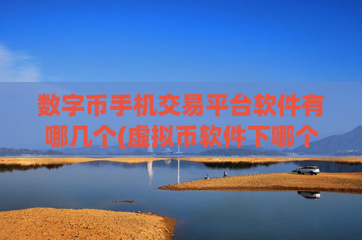 数字币手机交易平台软件有哪几个(虚拟币软件下哪个好)