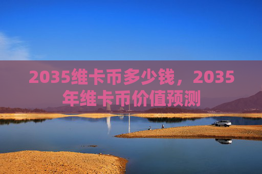 2035维卡币多少钱，2035年维卡币价值预测
