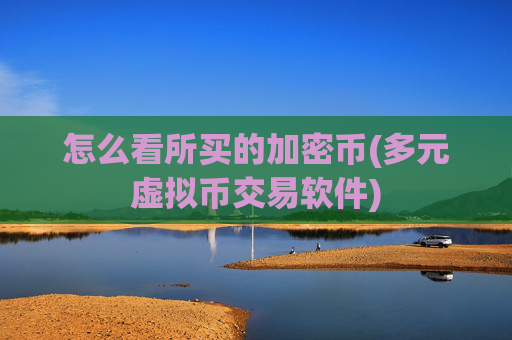 怎么看所买的加密币(多元虚拟币交易软件)