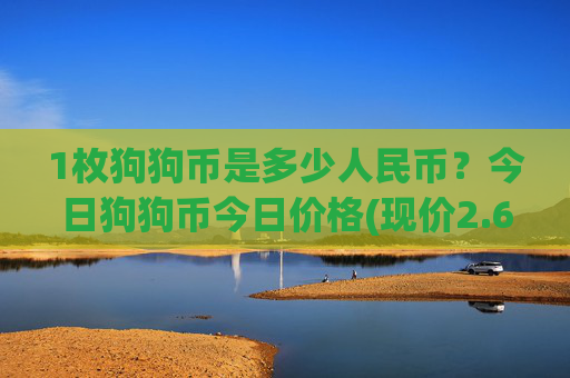 1枚狗狗币是多少人民币？今日狗狗币今日价格(现价2.6532元)