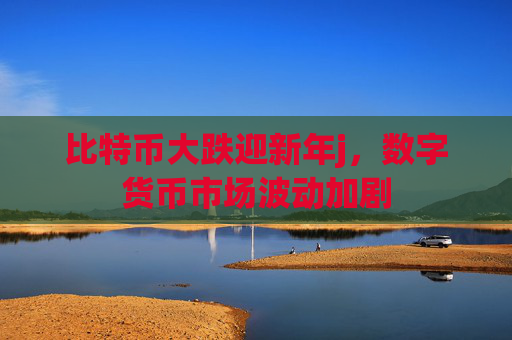 比特币大跌迎新年j，数字货币市场波动加剧
