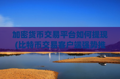加密货币交易平台如何提现(比特币交易客户端强势推荐)
