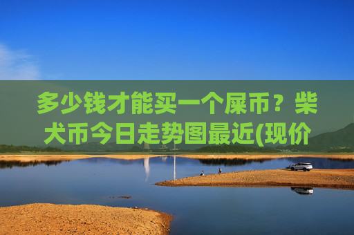 多少钱才能买一个屎币？柴犬币今日走势图最近(现价0.00017664元)