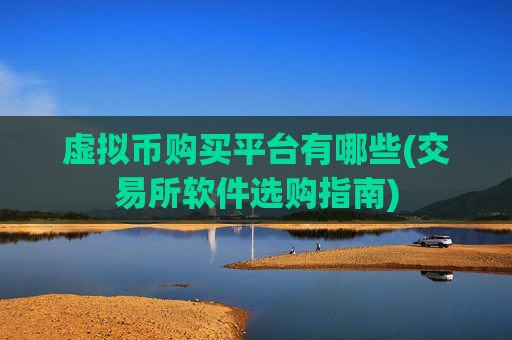 虚拟币购买平台有哪些(交易所软件选购指南)