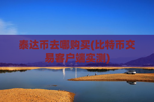 泰达币去哪购买(比特币交易客户端实测)