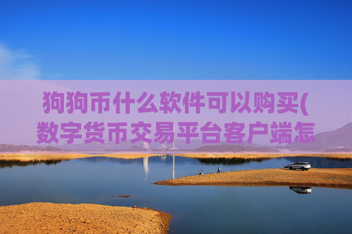 狗狗币什么软件可以购买(数字货币交易平台客户端怎么用)