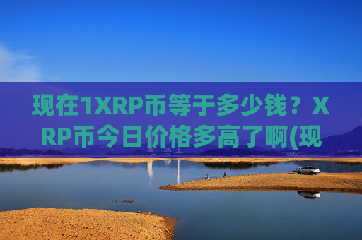 现在1XRP币等于多少钱？XRP币今日价格多高了啊(现价16.9976元)