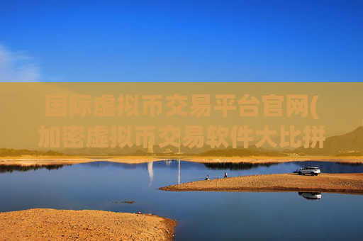 国际虚拟币交易平台官网(加密虚拟币交易软件大比拼)