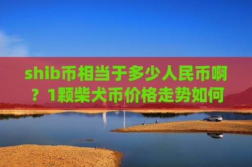 shib币相当于多少人民币啊？1颗柴犬币价格走势如何(现价0.00017613元)