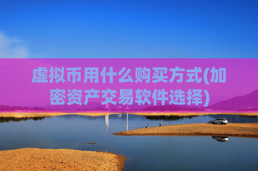 虚拟币用什么购买方式(加密资产交易软件选择)