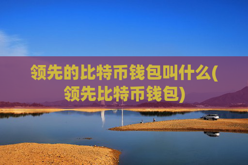 领先的比特币钱包叫什么(领先比特币钱包)