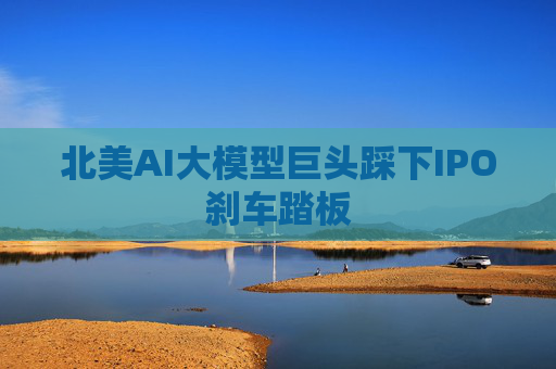 北美AI大模型巨头踩下IPO刹车踏板