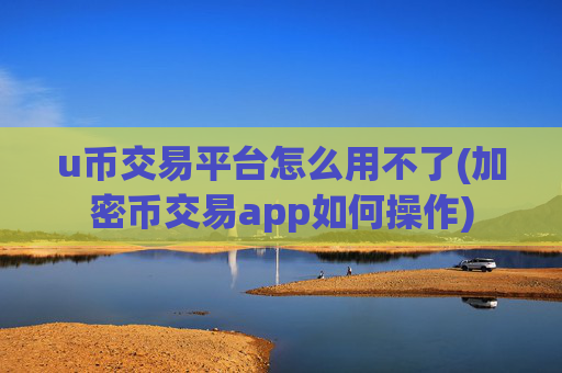 u币交易平台怎么用不了(加密币交易app如何操作)