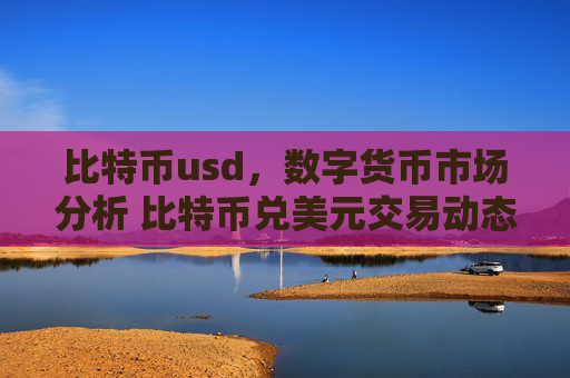 比特币usd，数字货币市场分析 比特币兑美元交易动态