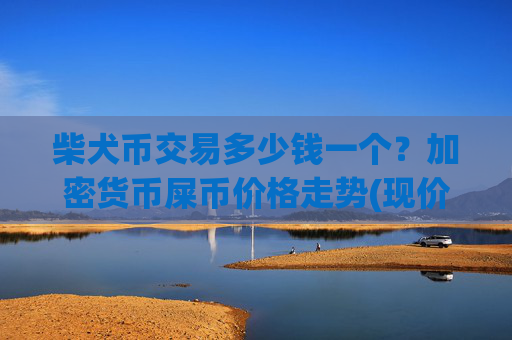 柴犬币交易多少钱一个？加密货币屎币价格走势(现价0.00022356元)
