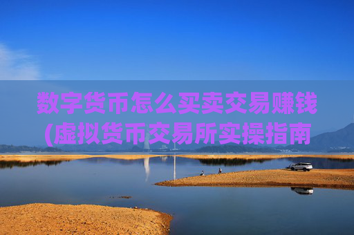数字货币怎么买卖交易赚钱(虚拟货币交易所实操指南)
