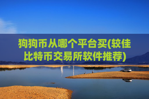 狗狗币从哪个平台买(较佳比特币交易所软件推荐)