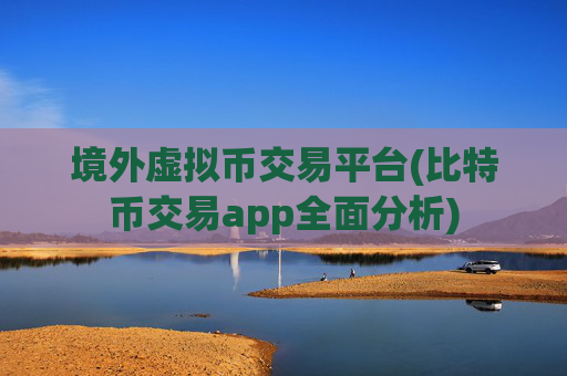 境外虚拟币交易平台(比特币交易app全面分析)