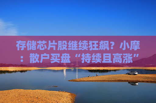 存储芯片股继续狂飙？小摩：散户买盘“持续且高涨” 毫无获利了结迹象