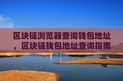 区块链浏览器查询钱包地址，区块链钱包地址查询指南