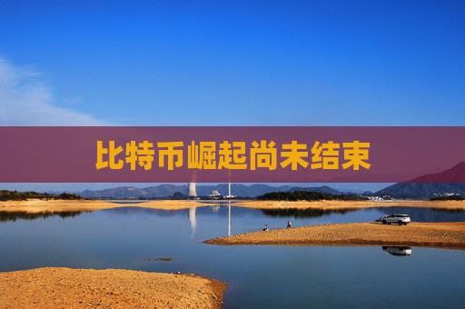 比特币崛起尚未结束