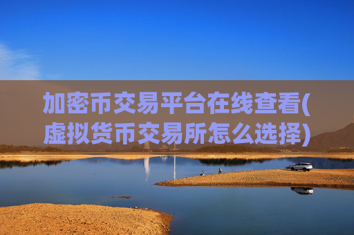 加密币交易平台在线查看(虚拟货币交易所怎么选择)