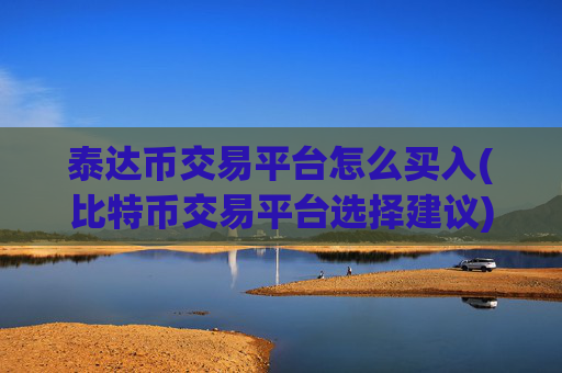 泰达币交易平台怎么买入(比特币交易平台选择建议)