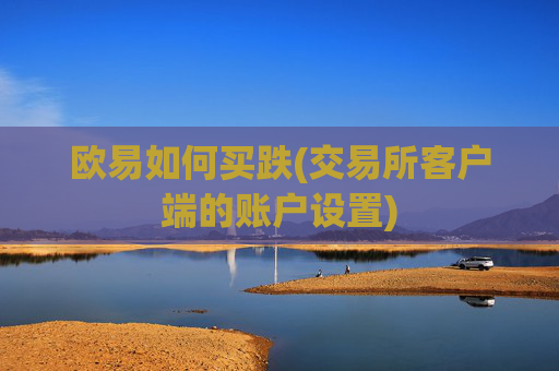 欧易如何买跌(交易所客户端的账户设置)
