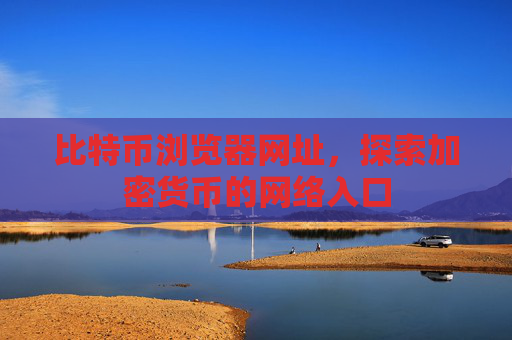 比特币浏览器网址，探索加密货币的网络入口