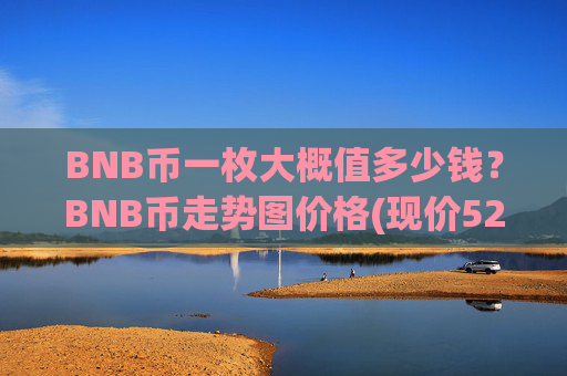 BNB币一枚大概值多少钱？BNB币走势图价格(现价5289.92元)