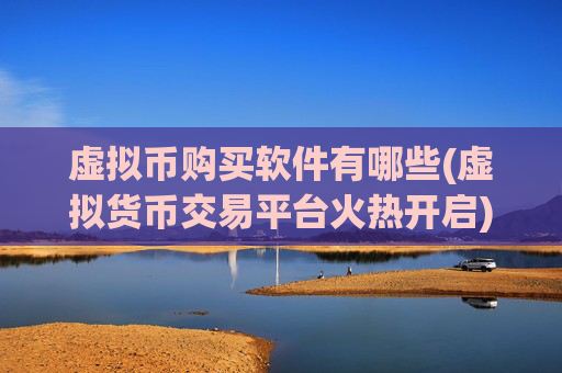 虚拟币购买软件有哪些(虚拟货币交易平台火热开启)