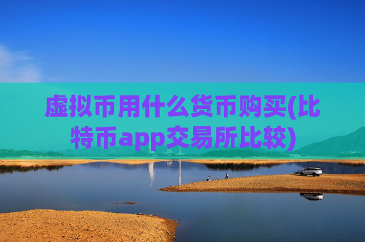 虚拟币用什么货币购买(比特币app交易所比较)