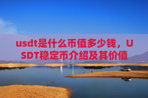 usdt是什么币值多少钱，USDT稳定币介绍及其价值