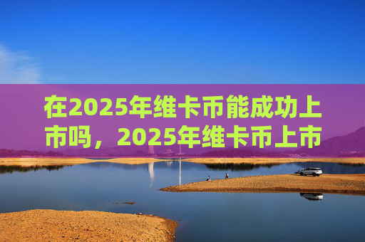 在2025年维卡币能成功上市吗，2025年维卡币上市可能性分析