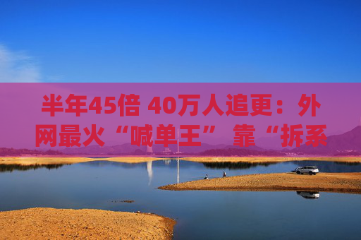 半年45倍 40万人追更：外网最火“喊单王” 靠“拆系统”打败华尔街