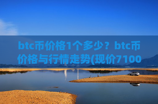 btc币价格1个多少？btc币价格与行情走势(现价710067.79元)