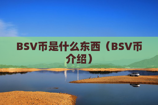 BSV币是什么东西（BSV币介绍）