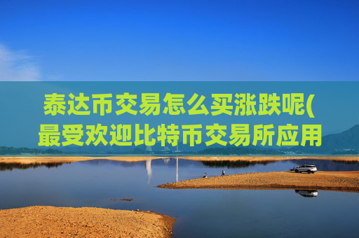 泰达币交易怎么买涨跌呢(最受欢迎比特币交易所应用)